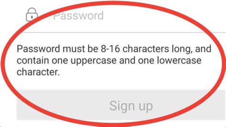 What is a Latin character in a password?