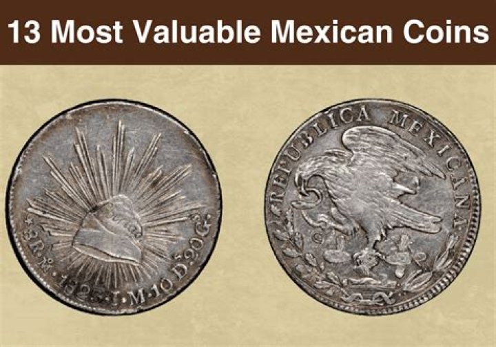 What is a Mexican vato?