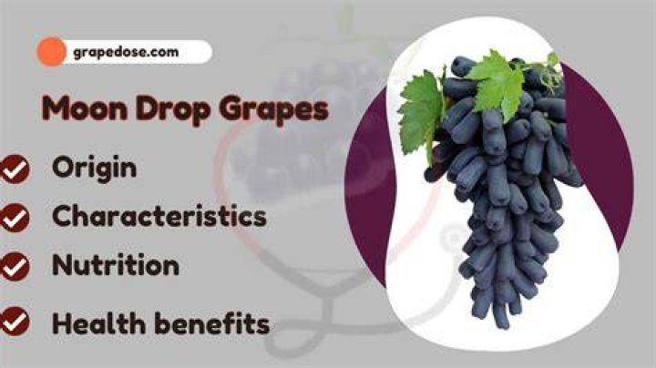 What is a moon drop grape?
