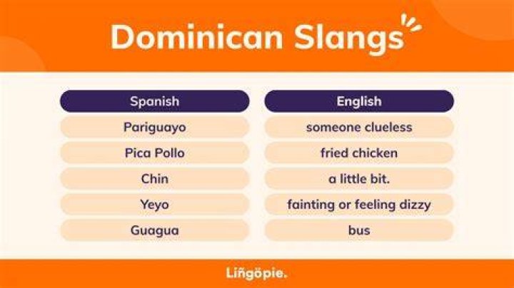 What is a Palomo Dominican slang?