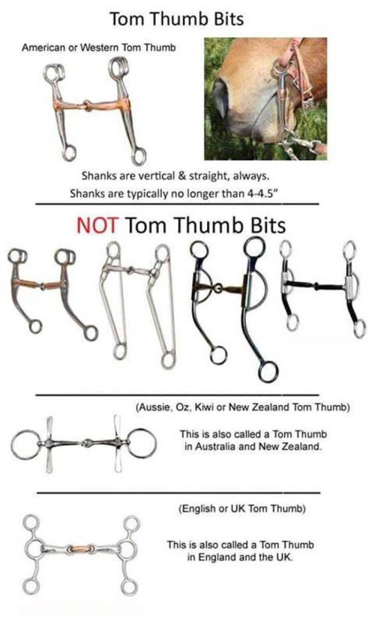 What is a Tom Thumb bit?