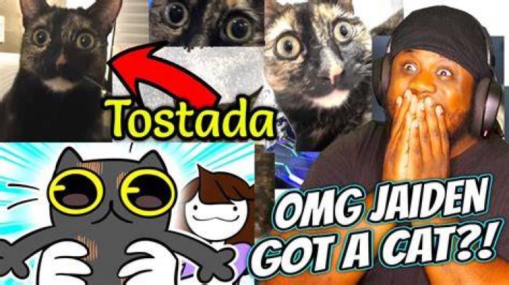 What is a tostada Cafe Rio?