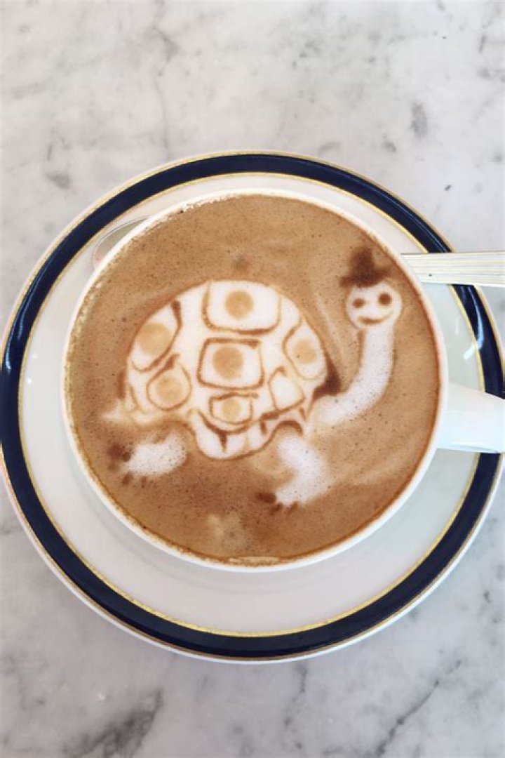 What is a turtle Cappuccino Blast?