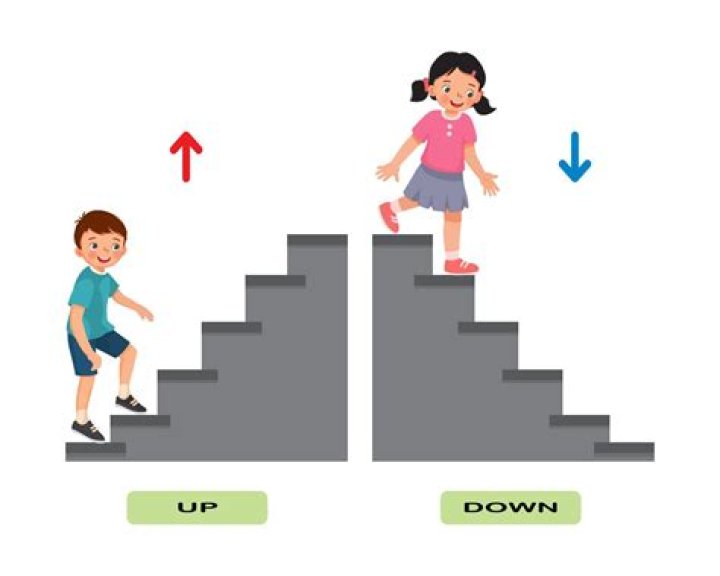 What is a word for up and down?