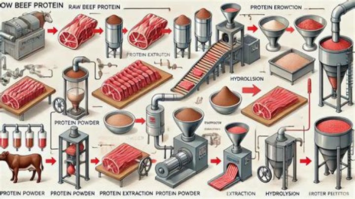 What is beef protein made of?