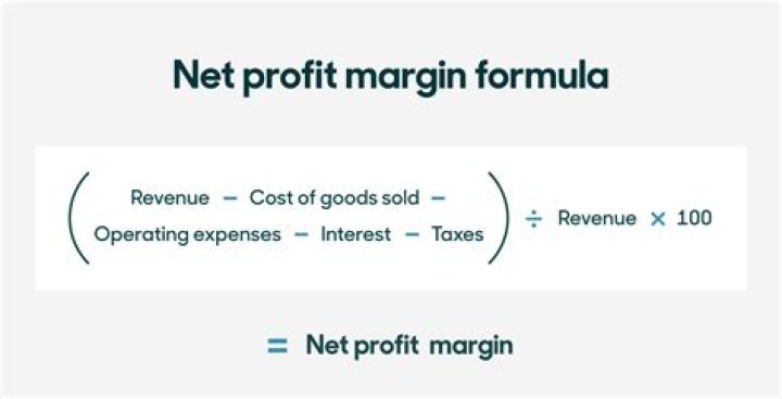 What is Ben and Jerry’s profit margin?