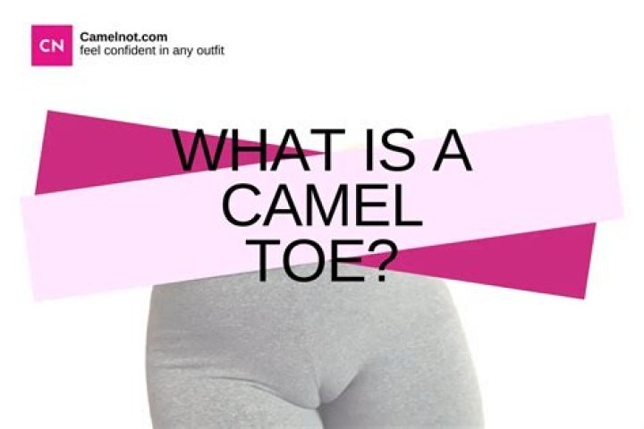 What is camel’s foot?