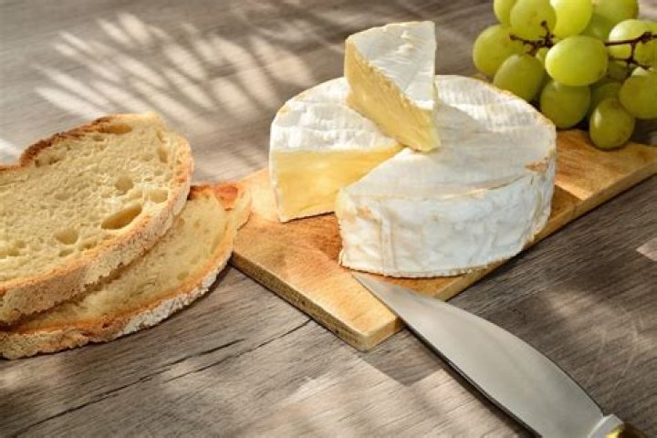 What is Camembert cheese made of?