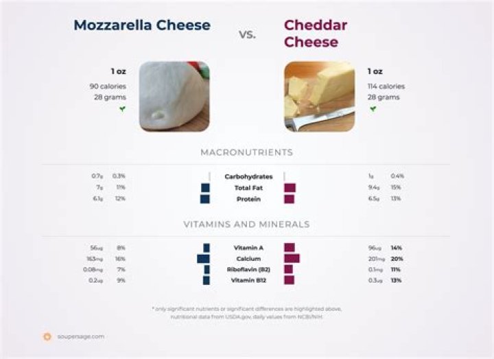 What is difference between cheese and mozzarella cheese?