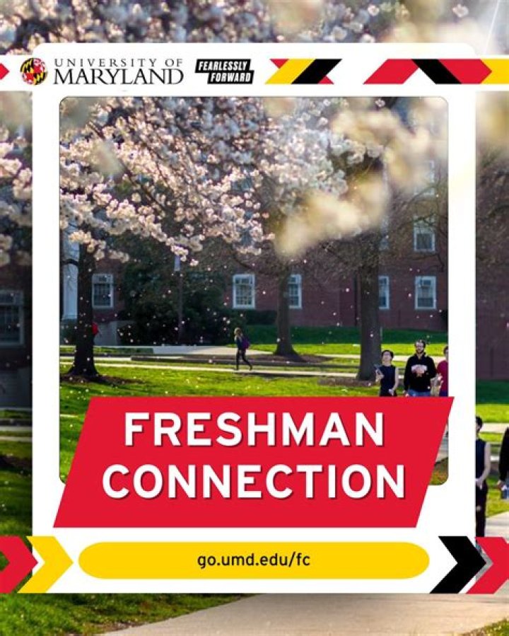 What is freshman connection at UMD?