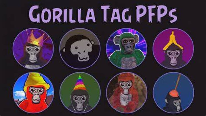 What is Gorilla app?