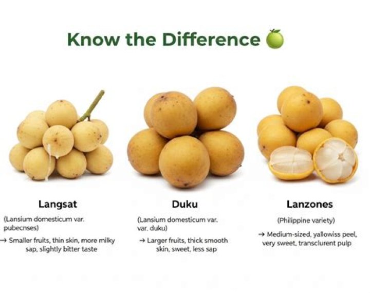 What is Lanzones in Chinese?