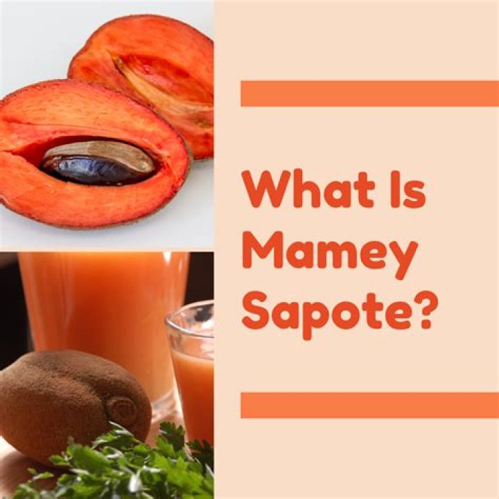 What is mamey good for?
