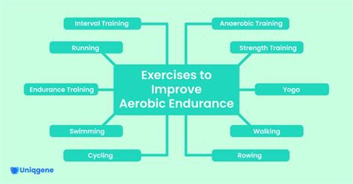 What is meant by aerobic endurance?