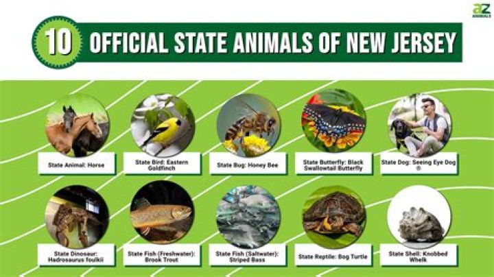 What is New Jersey’s state animal?