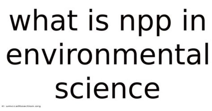What is NPP in environmental science?