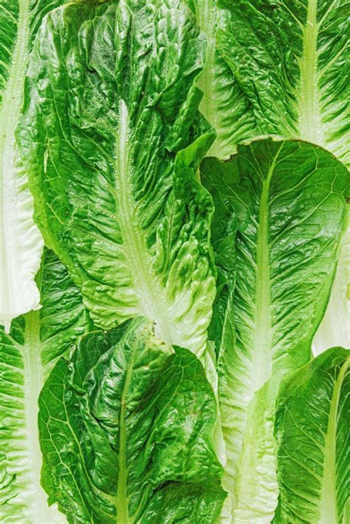 What is one serving of romaine lettuce?