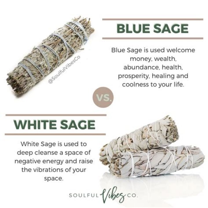 What is sage used for spiritually?