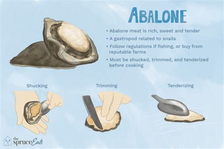 What is so special about abalone?