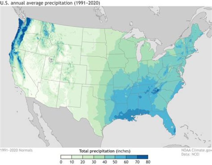 What is the average rainfall in prairies?