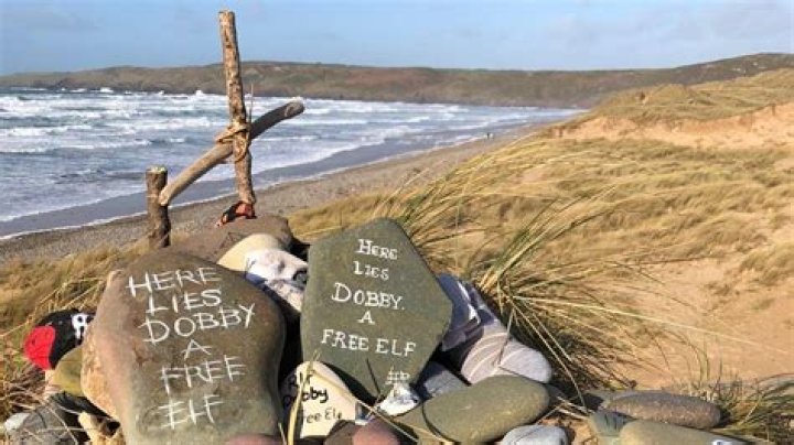 What is the beach called where Dobby dies?