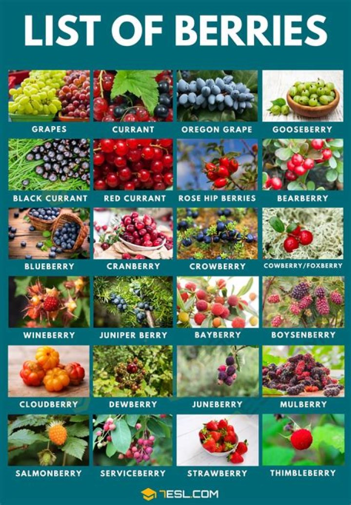 What is the best berry in ARK?