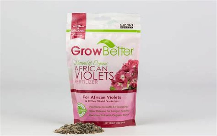 What is the best fertilizer for African violets?