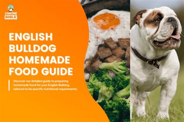 What is the best homemade food for dogs?
