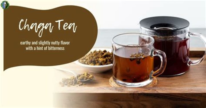 What is the best way to consume Chaga?