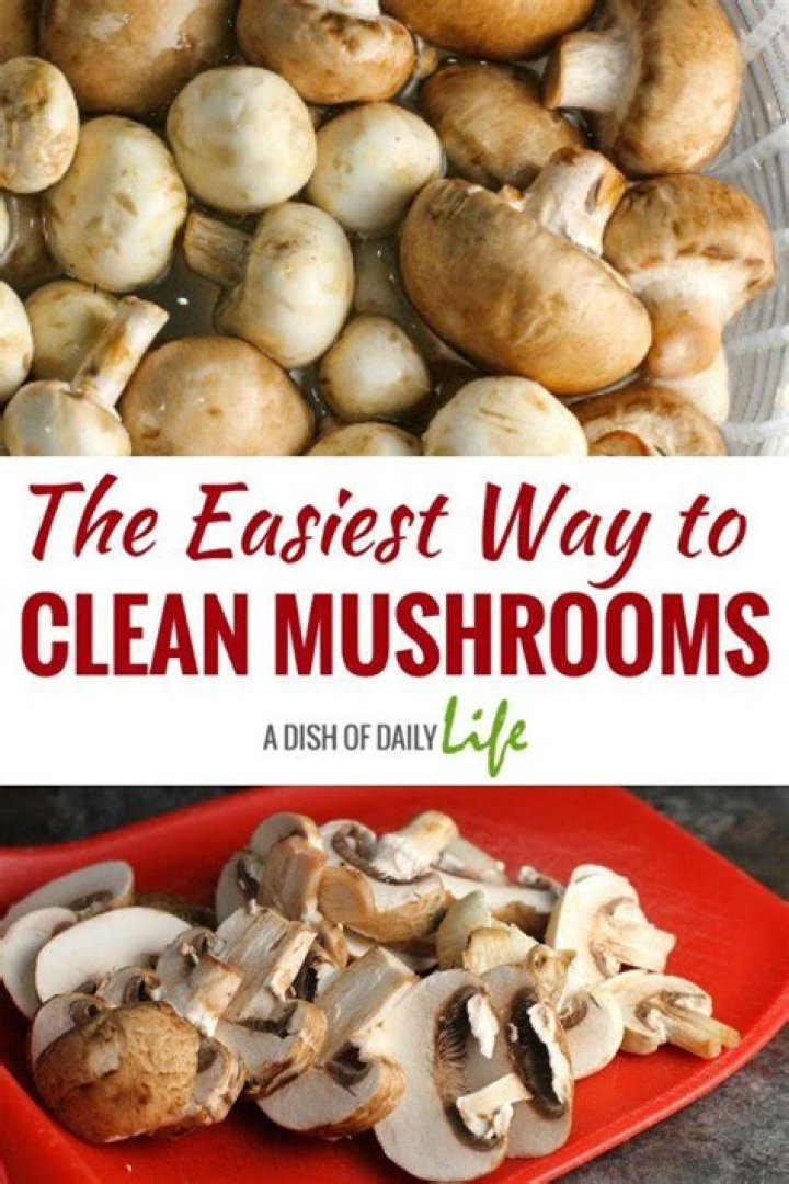 What is the correct way to clean mushrooms?