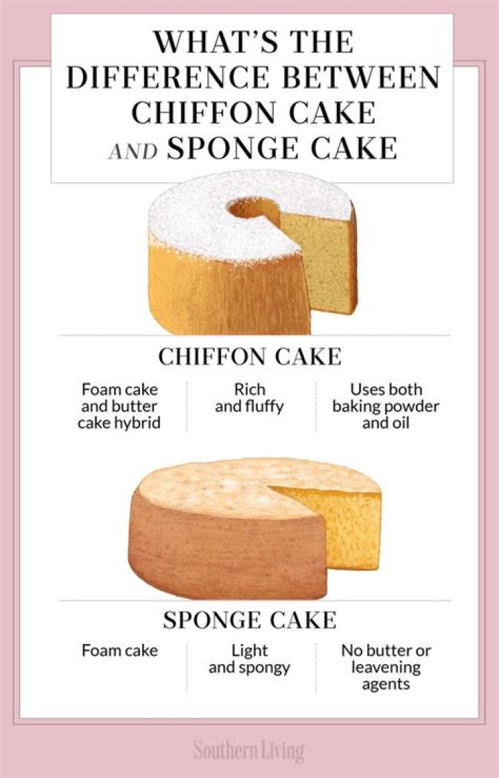 What is the difference between a cake and a sponge?