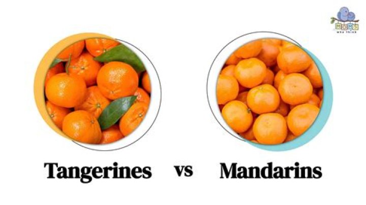 What is the difference between a tangerine and a mandarin orange?