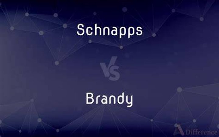 What is the difference between brandy and schnapps?
