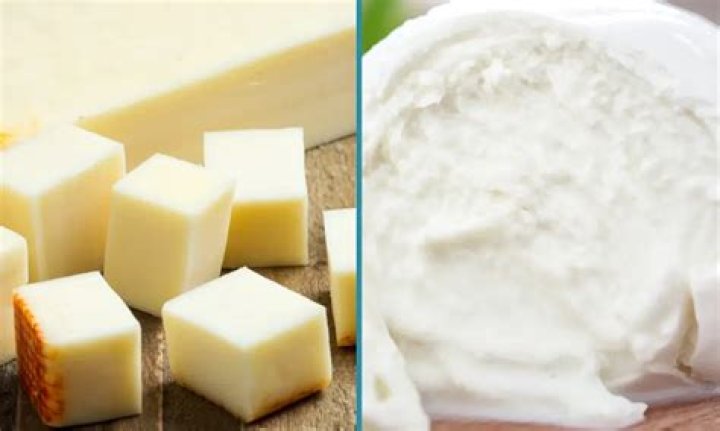 What is the difference between Muenster and mozzarella?