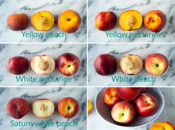 What is the difference between white and yellow nectarines?