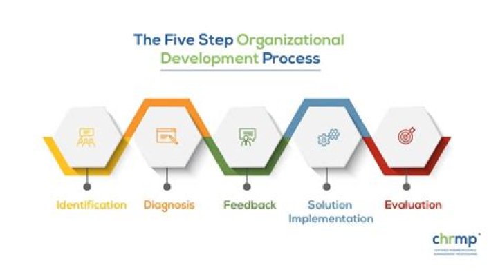 What is the first step in organizational development?