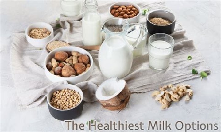 What is the healthiest brand of coconut milk?