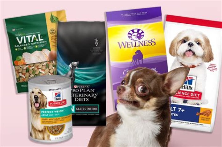 What is the healthiest dog food to buy?