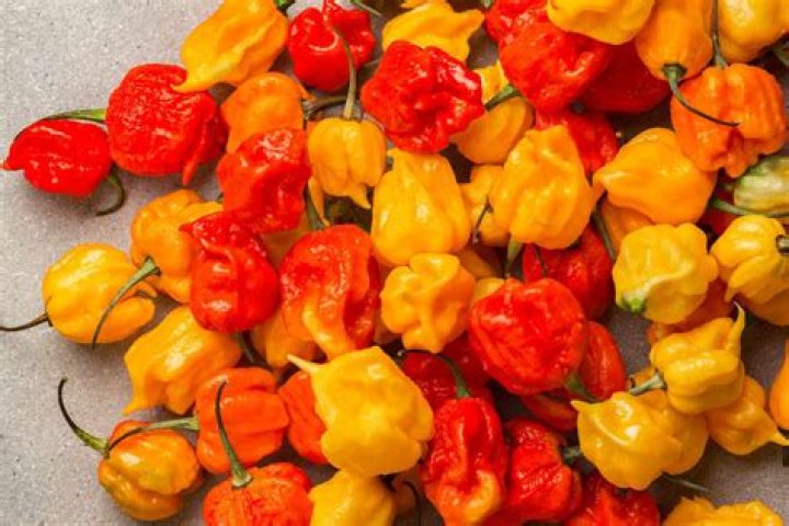 What is the hottest candy on earth?