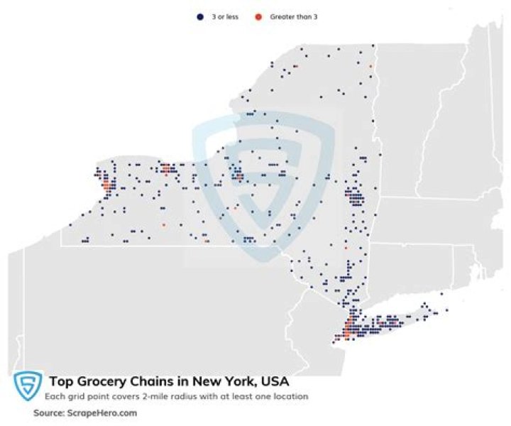 What is the largest grocery chain in New York?