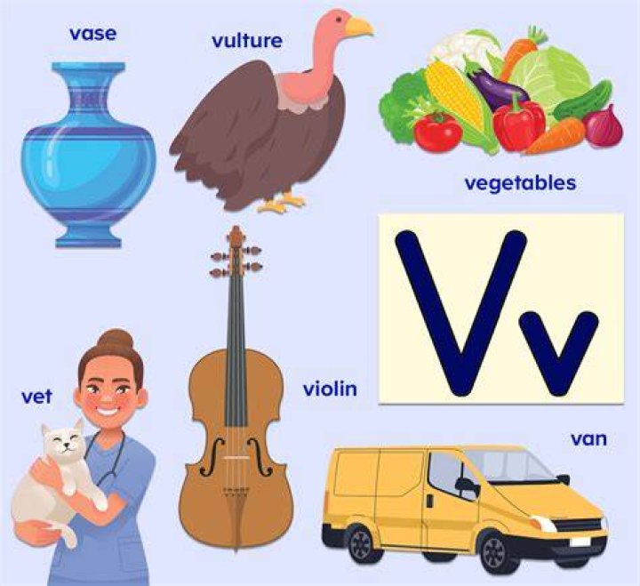 What is the letter Ö called?