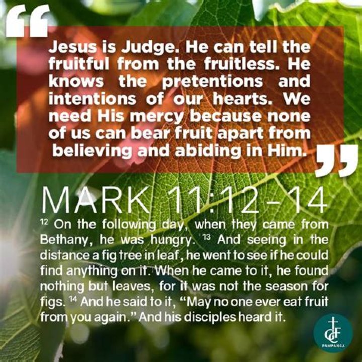 What is the meaning of Mark 11 12 14?