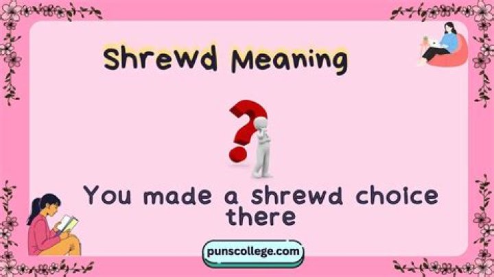 What is the meaning of shrewd person?