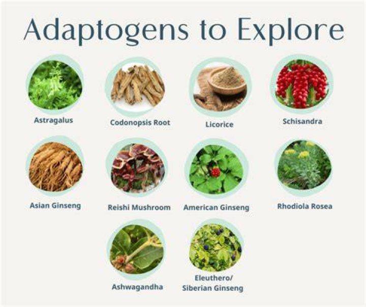 What is the most powerful adaptogen?
