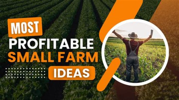 What is the most profitable crop for small farm?