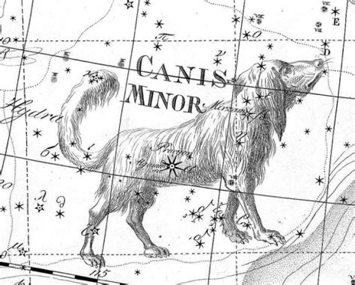 What is the myth behind Canis Minor?