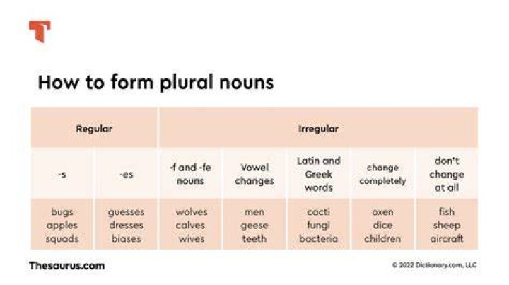 What is the plural form of walrus? Archives | PopularAsk.net