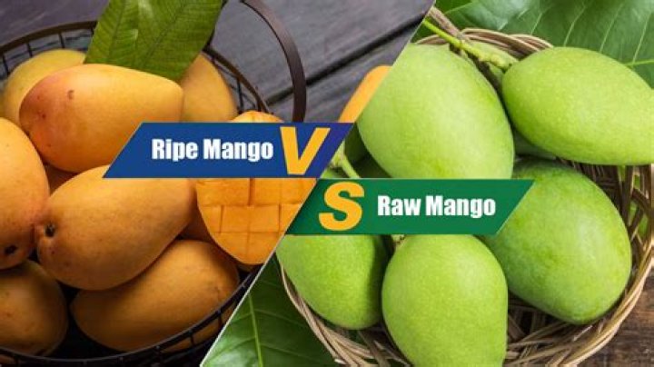 What is the probable color of the unripe mango?