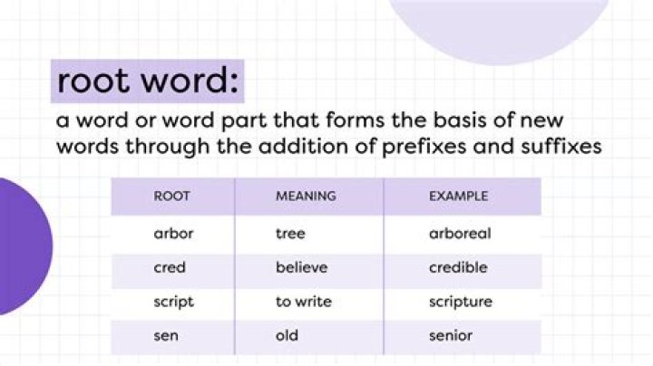 What is the root word for blood?