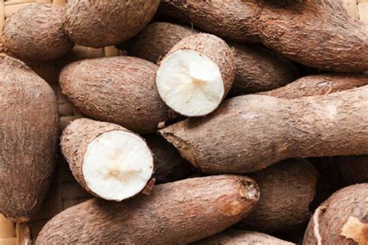 What is the side effect of tapioca?